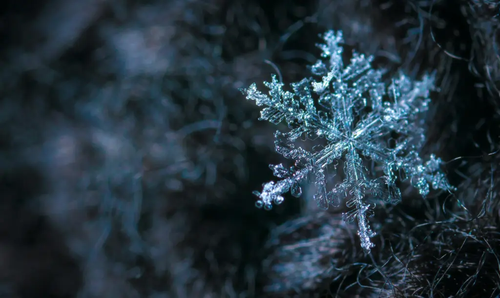 雪の結晶の写真